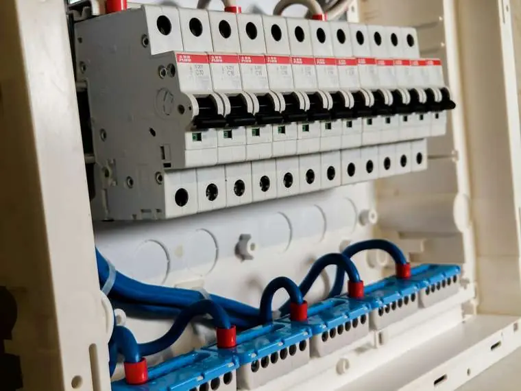 Gestione e procedure